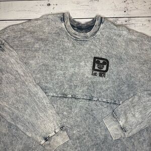 Gray Walt Disney World Spirit Jersey